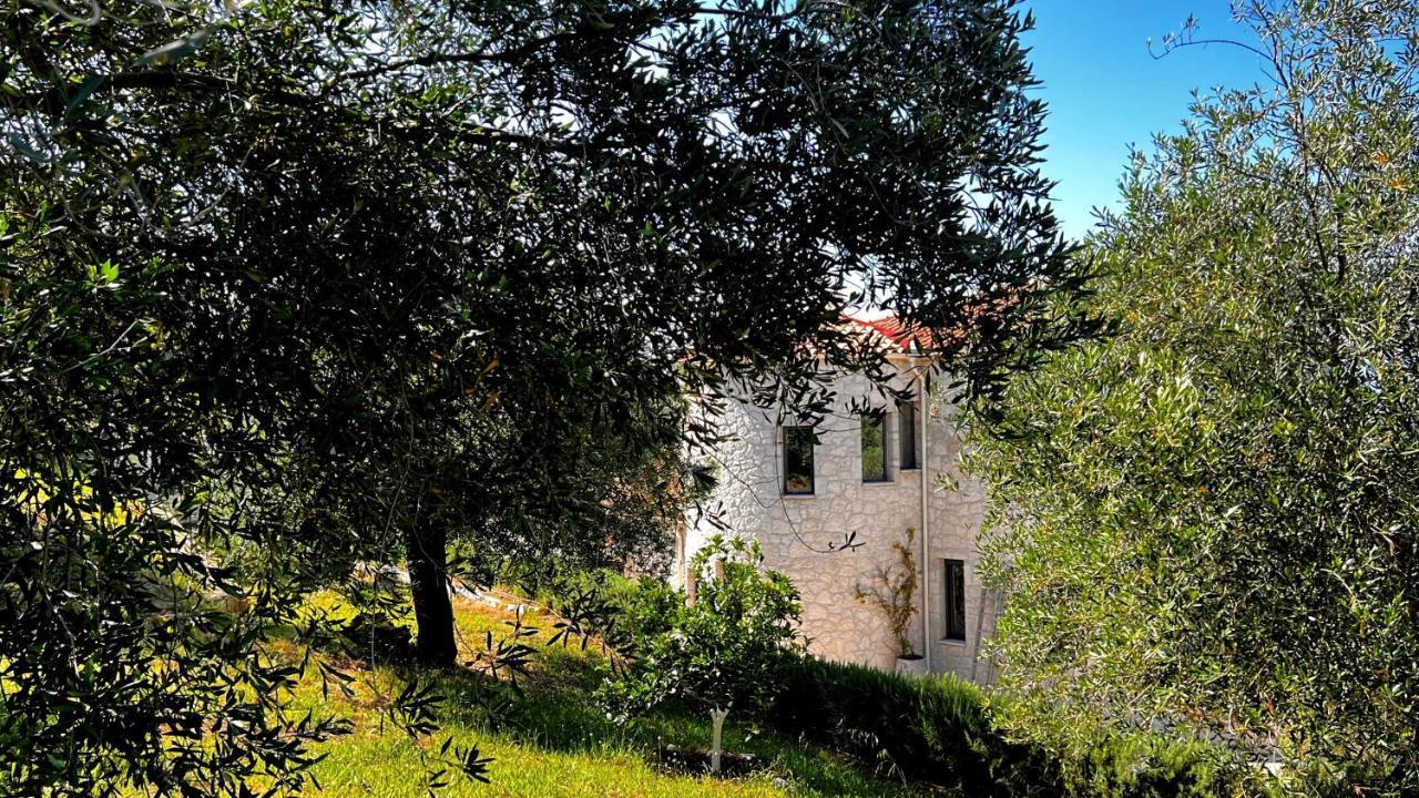 Avlaki Beach Villa Kassiopi Dış mekan fotoğraf