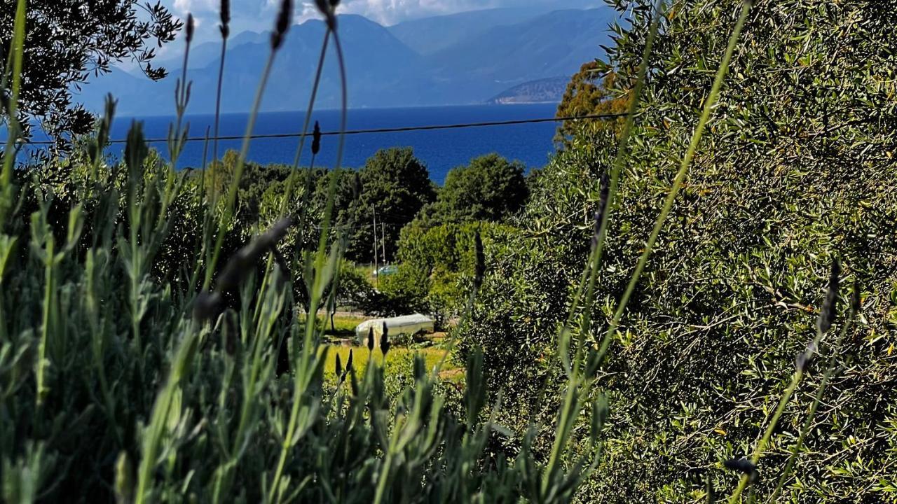 Avlaki Beach Villa Kassiopi Dış mekan fotoğraf